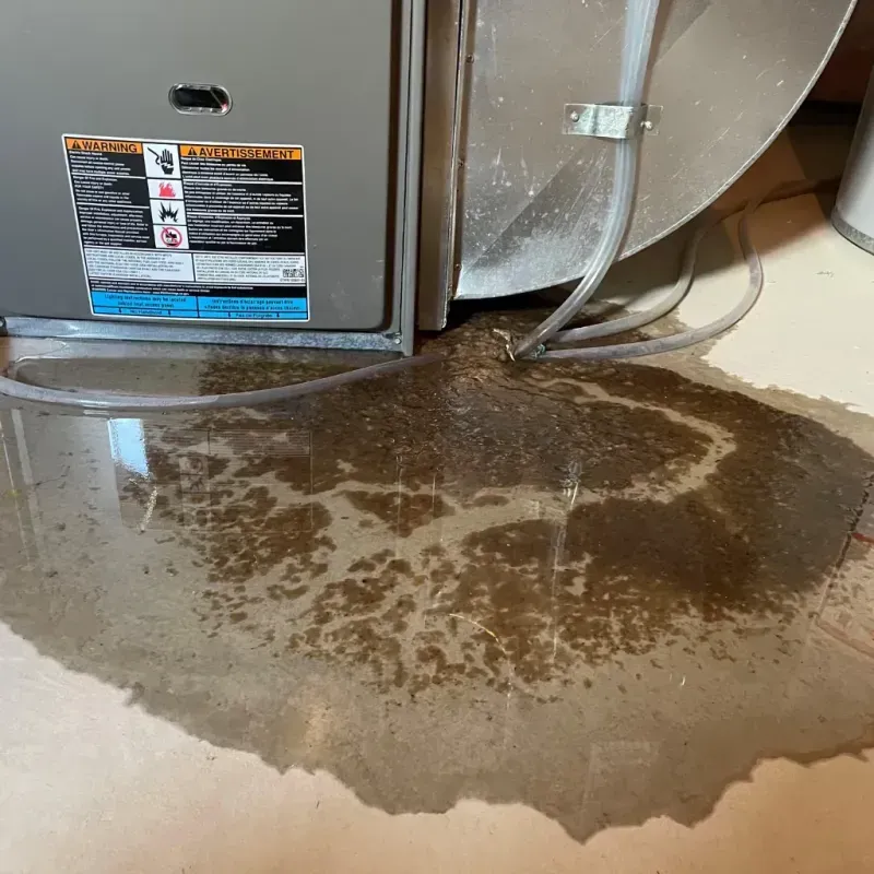 Appliance Leak Cleanup in Jasper County, IN